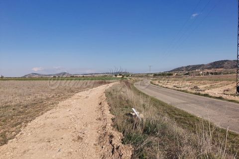 Helårsgrund i Yecla, Murcia, Yecla - € 29.900 | Ref: SF0304 - foto 4